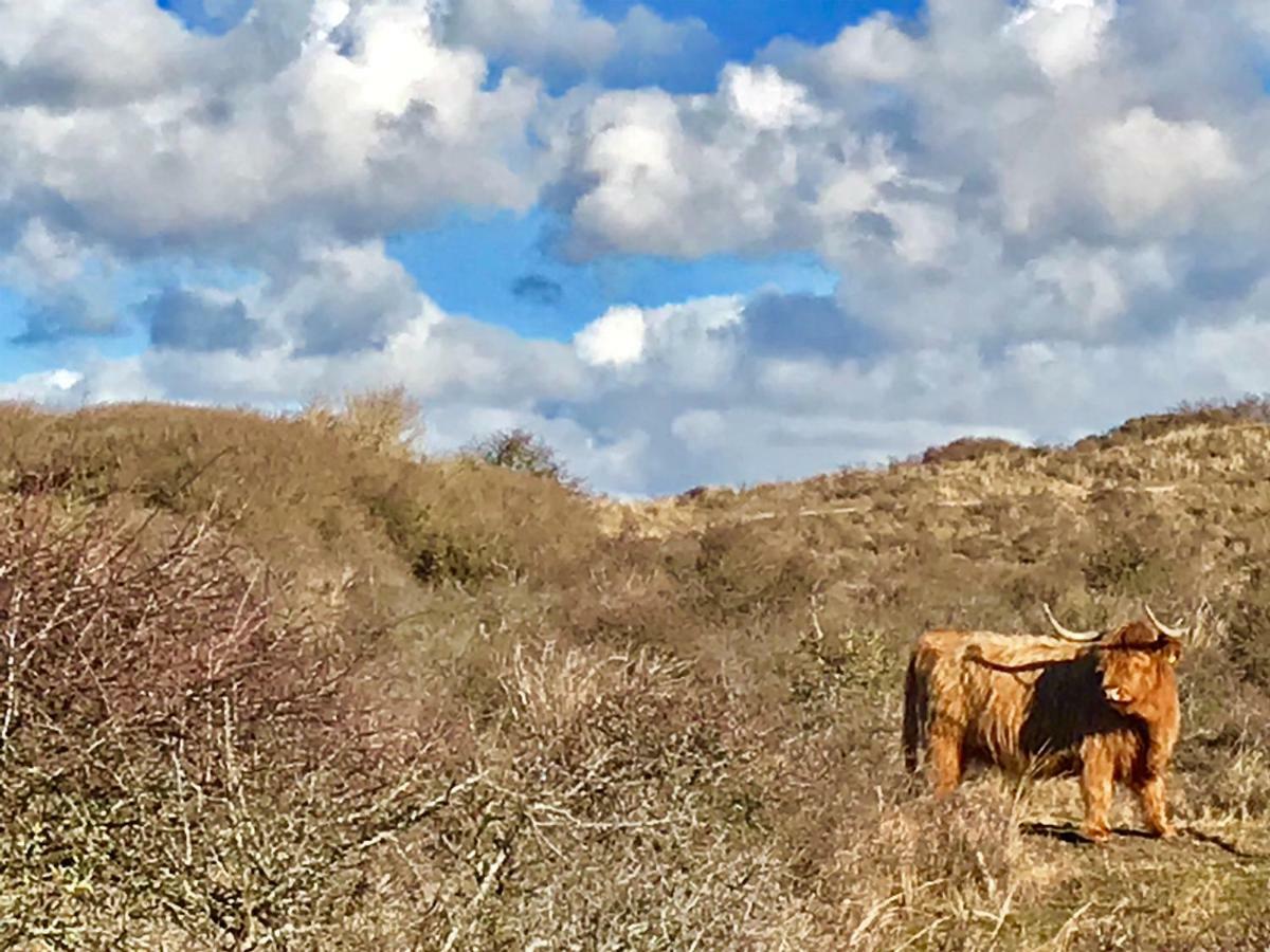 Apartamento Achter De Duinen Zandvoort Exterior foto